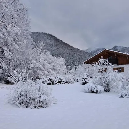 Haus Pacalulu